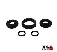 KIT PARAOLI DIFFERENZIALE ANTERIORE HONDA TRX420 FE 2014-2018 ALL BALLS 25-21...