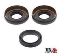 KIT PARAOLI DIFFERENZIALE ANTERIORE HONDA TRX500FE 2005-2011 ALL BALLS 25-2060-5