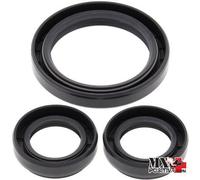 KIT PARAOLI DIFFERENZIALE ANTERIORE YAMAHA WOLVERINE 2017 ALL BALLS 25-2044-5