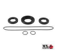 KIT PARAOLI DIFFERENZIALE POSTERIORE CAN-AM DEFENDER 500 2019 ALL BALLS 25-21...