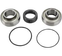 All Balls Kit Cuscinetti E Paraolio Differenziale 14-1008 Arctic Cat