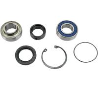 Kit paraoli e cuscinetti paracatena All Balls Polaris Star/startrak/sprint/indy/