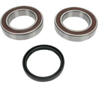 Kit paraoli e cuscinetti paracatena All Balls Ski-doo-(brp) 14-1035