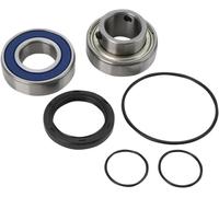 Kit paraoli e cuscinetti paracatena All Balls Yamaha 14-1033