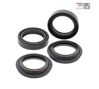 Kit paraoli e parapolvere forcella Honda 250cc CBF250 (Euro) 04 56-123 ALL BALLS