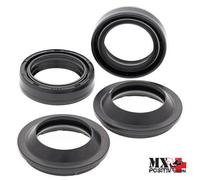 KIT PARAOLI E PARAPOLVERE FORCELLE SUZUKI DR 250S 1993 ALL BALLS 56-133-1