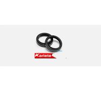 PARAPOLVERE FORCELLA MOTOCICLI 43 X 54 X 11 ARIETE ARI.053