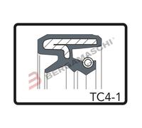 KIT PARAOLI FORCELLA PER MALAGUTI MADISON 125 250 36x48x11 TC4-1 ARIETE ARI.114