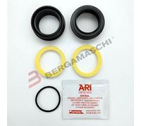 KIT PARAOLI FORCELLA PER MTB 30mm ARIETE ARI.A017 MANITOU LEGACY R7/M30/MATCH