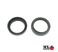 KIT PARAOLI FORCELLE DUCATI MONSTER 1000 S4R S 998 EUROPE / USA 2007-2008 ATH...