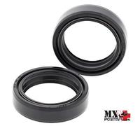 KIT PARAOLI FORCELLE KTM 65 SX 2012-2013 ALL BALLS 55-141