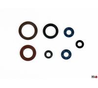 KIT PARAOLI MOTORE KTM 250 FREERIDE F 2018-2020 MOTOCROSS MARKETING GU84594T