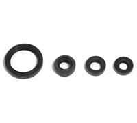 Set di guarnizioni olio motore ATHENA P400485400069