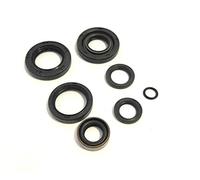 KIT PARAOLI PARAOLIO MOTORE MOTO CAGIVA 125 WSXT ALETTA ROSSA ELEFANT ALETTA ORO