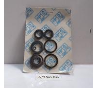 KIT PARAOLI PER PIAGGIO SKIPPER 125-VESPA LX 125-TYPHOON 125 (498406)