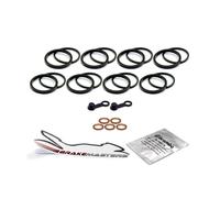 Kit Paraoli Pinza Freno Ducati 1200 Monster M1200 2015 Revisione Frontale
