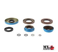 KIT PARAOLIO ASSALE TRASVERSALE POLARIS RZR 570 EFI 2019-2020 ALL BALLS 25-21...