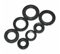 Kit Paraolio Completo Motore Compatibile Con Lambretta LI GP SX Scooter