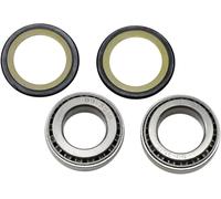 Kit paraolio e cuscinetti a rulli conici sterzo All Balls Honda 22-1002-a