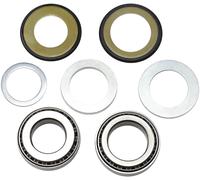 Kit paraolio e cuscinetti a rulli conici sterzo All Balls Honda 22-1011