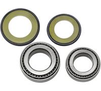 Kit paraolio e cuscinetti a rulli conici sterzo All Balls Honda Triumph 22-1020