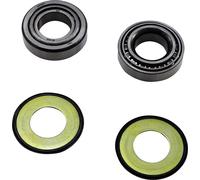 Kit paraolio e cuscinetti a rulli conici sterzo All Balls Kawasaki Ducati 22-106