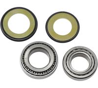 Kit paraolio e cuscinetti a rulli conici sterzo All Balls Kawasaki Hyosung Honda