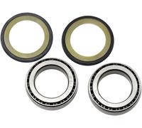 Kit paraolio e cuscinetti a rulli conici sterzo All Balls Kawasaki S1/gpz/crs/s2
