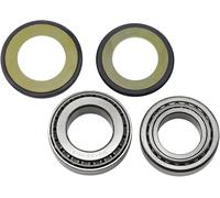 Kit paraolio e cuscinetti a rulli conici sterzo All Balls Kawasaki Yamaha Suzuki
