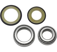 Kit paraolio e cuscinetti a rulli conici sterzo All Balls Kawasaki Zx-6 R/zzr 60