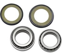 Kit paraolio e cuscinetti a rulli conici sterzo All Balls Ktm Kawasaki 22-1014