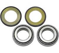 Kit paraolio e cuscinetti a rulli conici sterzo All Balls Triumph Bmw Ktm Yamaha