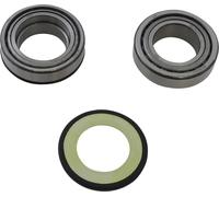 Kit paraolio e cuscinetti a rulli conici sterzo All Balls Yamaha 22-1055