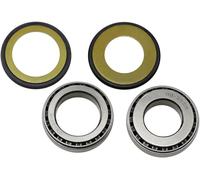 Kit paraolio e cuscinetti a rulli conici sterzo All Balls Yamaha Suzuki 22-1007