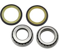 Kit paraolio e cuscinetti a rulli conici sterzo All Balls Yamaha Xv/xs/xz/fz/srx
