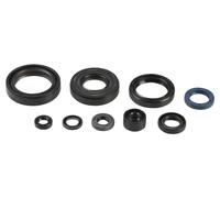 KAWASAKI KX 125 dal 1994 al 2008 SERIE PARAOLI MOTORE