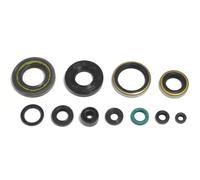 KIT PARAOLI MOTORE ATHENA KAWASAKI KX 250 1993-2004 P400250400256