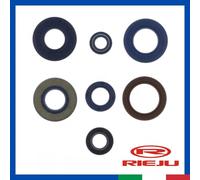 Kit paraolio revisione motore AM6 minarelli RIEJU MRT MRX RR RS1 RS2 RS3 50cc