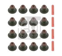 Kit paraolio valvole 26029 FEBI BILSTEIN per BMW 6 Cabriolet X5 3 Compact 3 7 X3