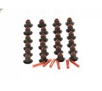 Kit paraolio valvole FPM (Fluoro-Caucciù) 199.430 ELRING per BMW ROLLS-ROYCE