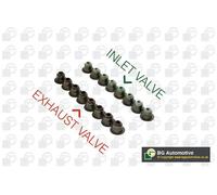 Kit paraolio valvole VK5310 BGA per BMW ALFA ROMEO MERCEDES-BENZ FORD AUDI VW