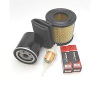 Kit per Briggs e Stratton Vanguard OHV 290442 290446 290447 290772