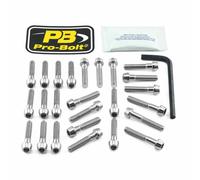 Kit per bulloni di carenatura per Kawasaki Acciaio Inox 24011548