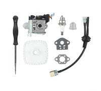 Kit per carburatore per Echo PB-250LN PB-250 ES-250 per soffiatore a foglie, compatibile con Zama RB-K106 A021003660 A021003661, include guarnizioni, bulbo del primer, tubo del filtro dell'aria