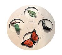 Kit per il ciclo di vita della farfalla | Puzzle educativo in legno con colori di rana, pollo e farfalla - Butterfly Life Cycle Toy - Figurine Life Cycle