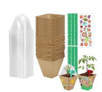 Kit per la Coltivazione delle Piante per Bambini Giocattoli Educativi STEM