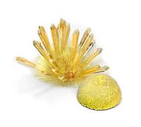 Kit per la coltivazione di cristalli Esperimento scientifico VAPORE Artigianato educativo Progetti fai da te Laboratorio per bambini Appassionati Impara il principio di crescita Sviluppare abilità di