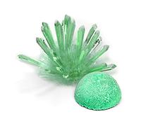 Kit per la coltivazione di cristalli STEAM Esperimento scientifico artigianato educativo progetti fai da te Laboratorio per bambini appassionati Impara il principio di crescita Sviluppa abilità di