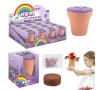 Kit per la coltivazione di fiori per bambini | Scatola da giardinaggio per semi | Mini Fiori E Verdure Osservazione Fai Da Te Fiori In Vaso, Scienza 'asilo E Regalo Di Prima Educazione