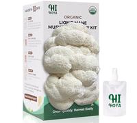 Kit per la coltivazione di funghi biologici grandi con spray e accessori, kit per la coltivazione di funghi freschi commestibili su entrambi i lati, certificato USDA, non OGM, adatto ai principianti